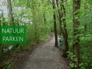 Botanique Verbaas je over de vele mogelijkheden. Foto: Tuinbeurs Nederland